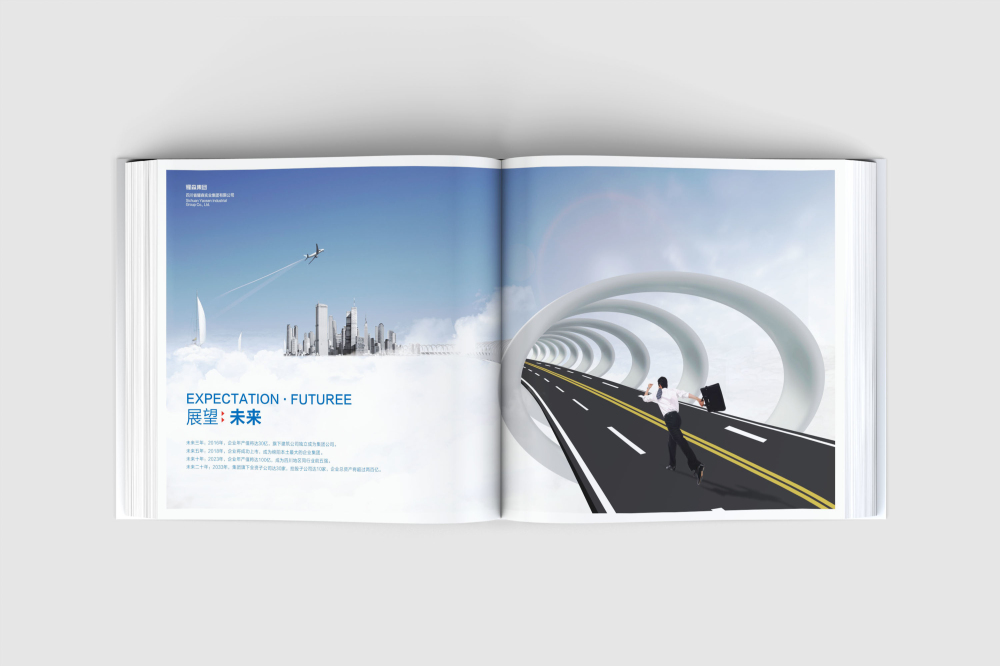 濠江区画册设计
